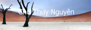 chuthuynguyen