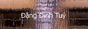 dangdinhtuy