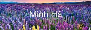 minhha