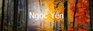 ngocyen
