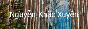 nguyenkhacxuyen