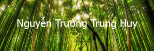 nguyentruongtrunghuy
