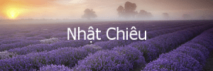 nhatchieu