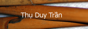 thuduytran