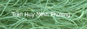 tranhuyminhphuong