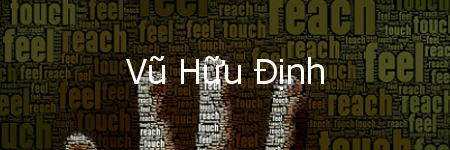 vuhuudinh