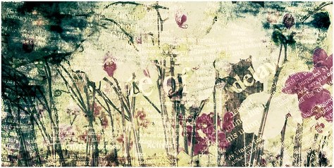 487689_330462330392516_539914633_n