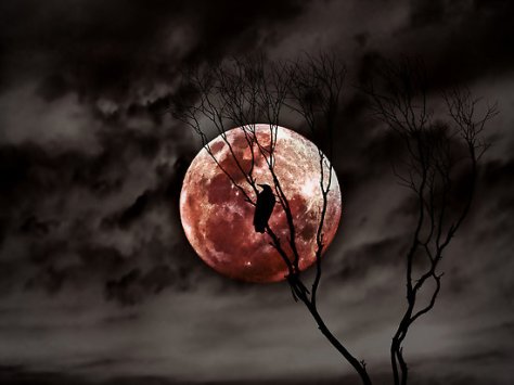 Steven Sandner, Red Moon Rising