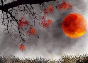 a-red-moon-day-trilby-cole