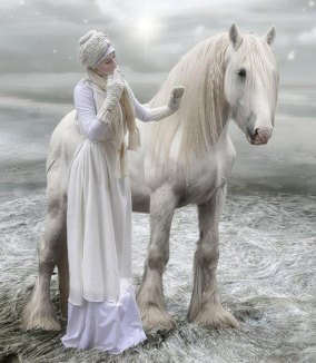 white-horse