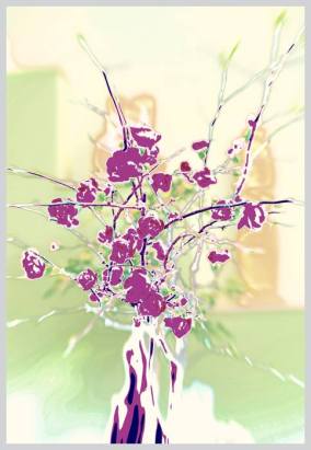 1795616_475209165917831_209285845_n