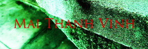 maithanhvinh