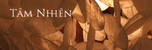 tamnhien