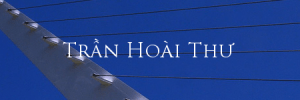tranhoaithu