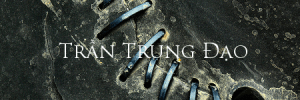 trantrungdao