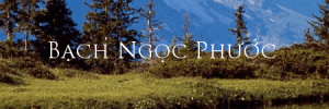 bachngocphuoc
