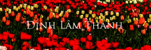 dinhlamthanh