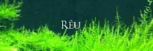 reu