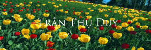 tranthuduy