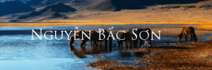 nguyenbacson