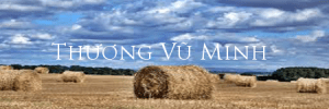 thuongvuminh