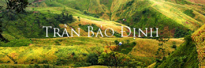 tranbaodinh