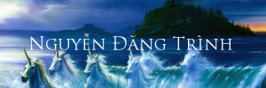 nguyendangtrinh