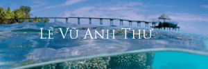 levuanhthu