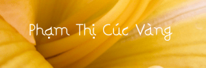 phamthicucvang