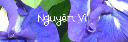 nguyenvi